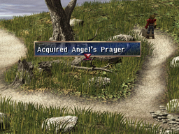 Prairie Chest03.webp