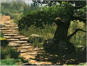 Prairie Thumbnail.jpg