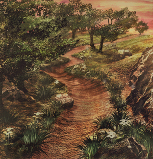 Forest Submap05.webp