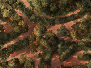 Forest Submap03.png